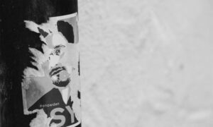 Brand Management and Graphic Design