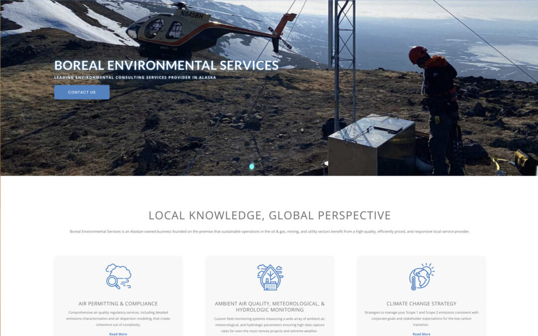 Anchorage Web Design Services - Bianca Frank Design