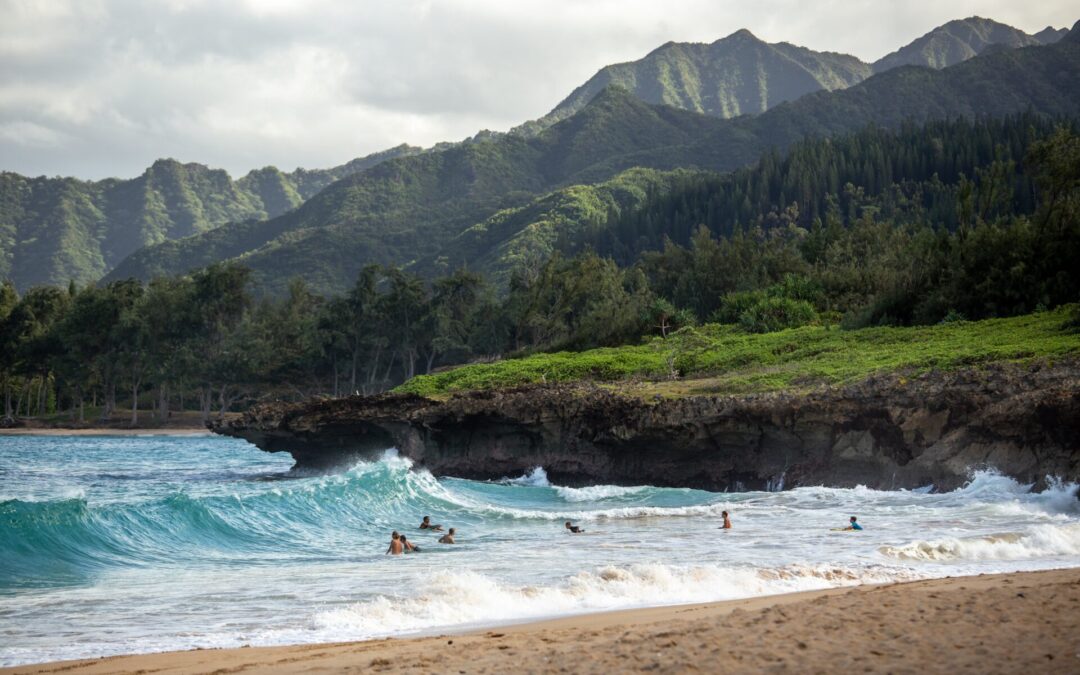 Building an Online Profile to Market Small Business in Hawaii