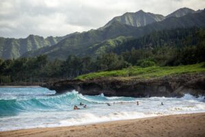 small business in hawaii