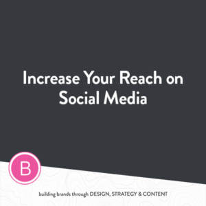 Alaska-web-design-social-media-marketing-Bianca-Frank-Design