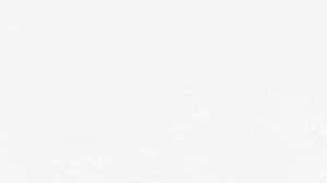 Anchorage Web Designer