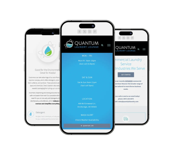 Quantum Laundry Lounge - Alaska Web Design and Branding