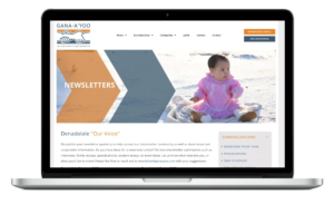 Website Design for Alaska Nonprofits