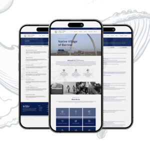 Tribal Website Design in Alaska - Native Village of Barrow Web Design