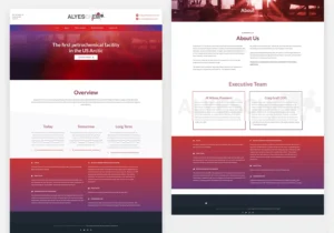 Website Design Services for Small Business